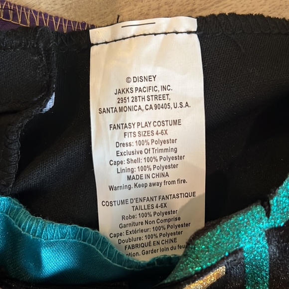 DISNEY FROZEN PRINCESS ANNA Costume - Picture 8 of 8